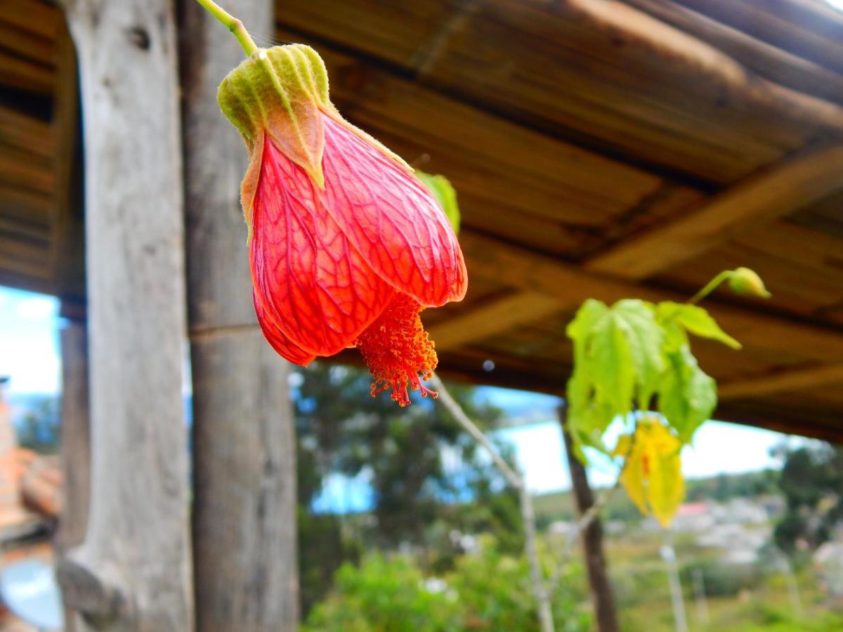 Cabanas Y Glampings Balcon Del Lago Otavalo Dış mekan fotoğraf