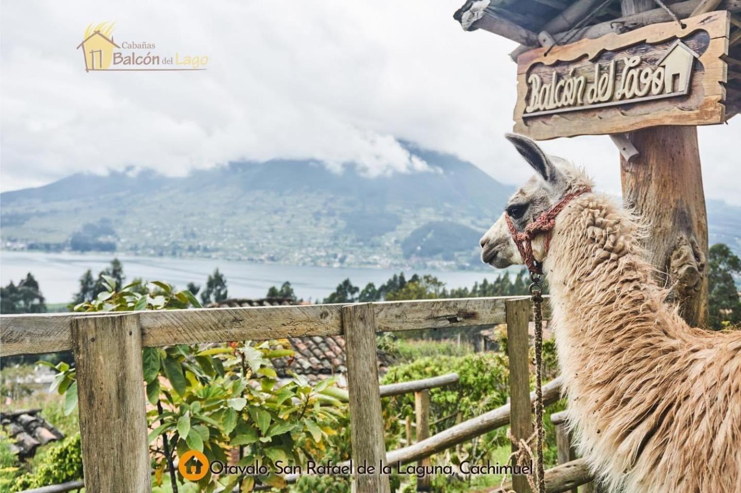 Cabanas Y Glampings Balcon Del Lago Otavalo Dış mekan fotoğraf
