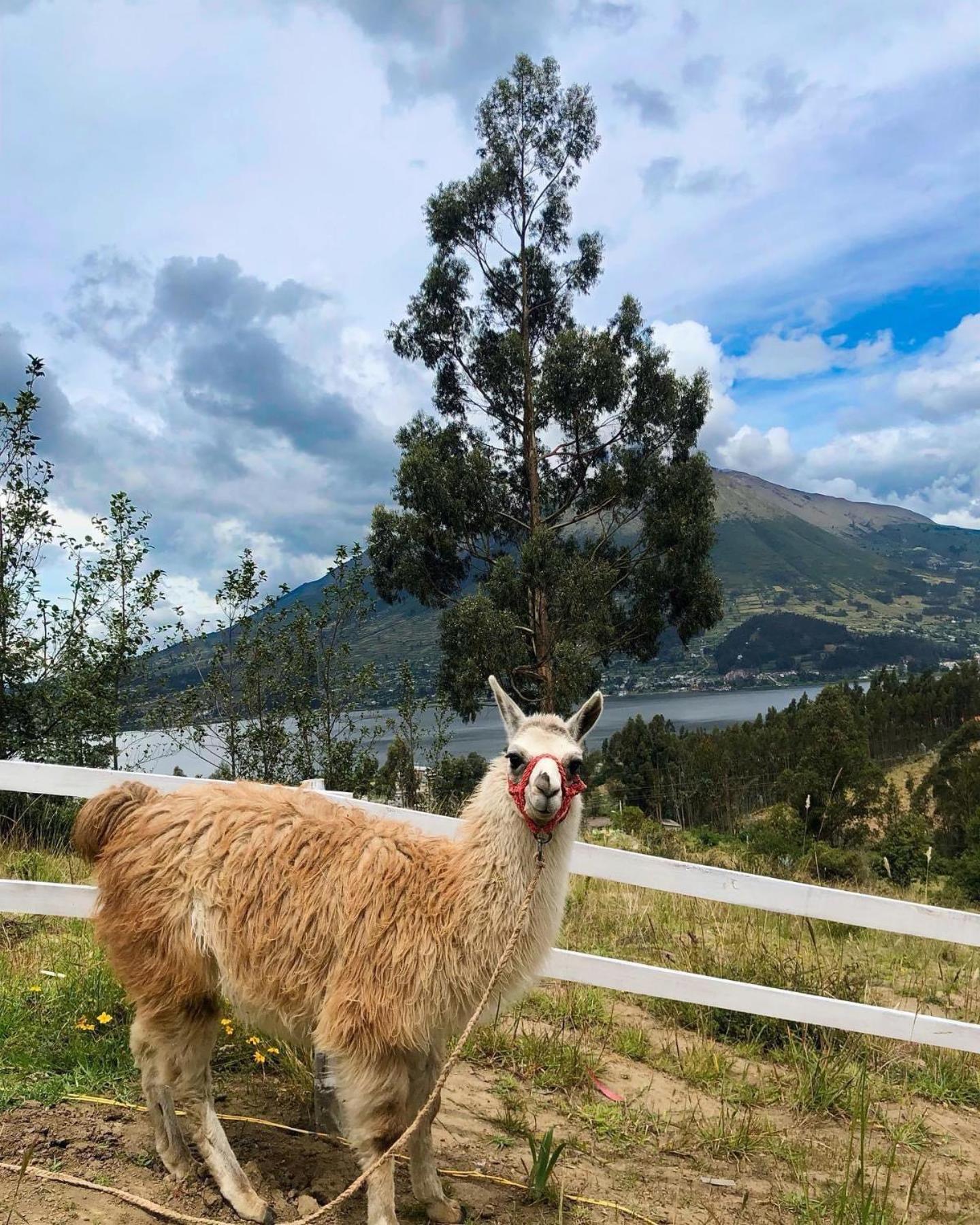 Cabanas Y Glampings Balcon Del Lago Otavalo Dış mekan fotoğraf