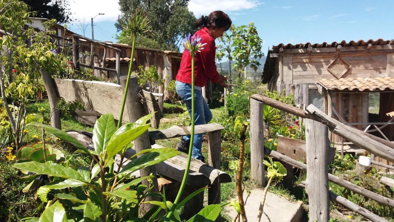Cabanas Y Glampings Balcon Del Lago Otavalo Dış mekan fotoğraf